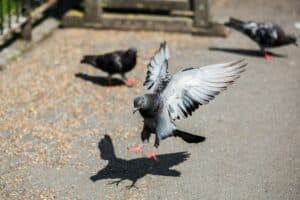 dave george RYwhTUCeM A unsplash